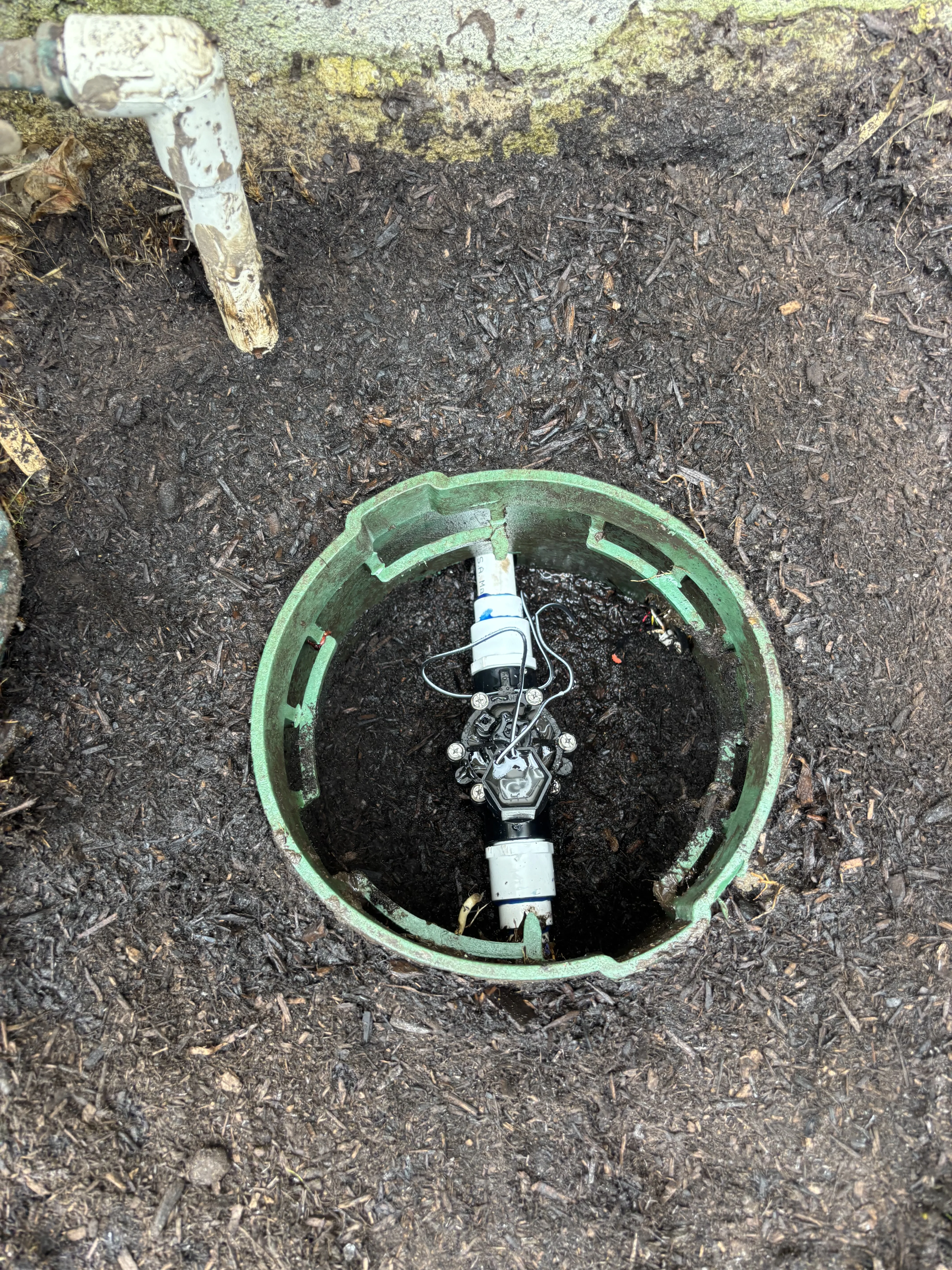 After photo of repaired and upgraded irrigation by Lobato Landscaping in San Clemente, CA