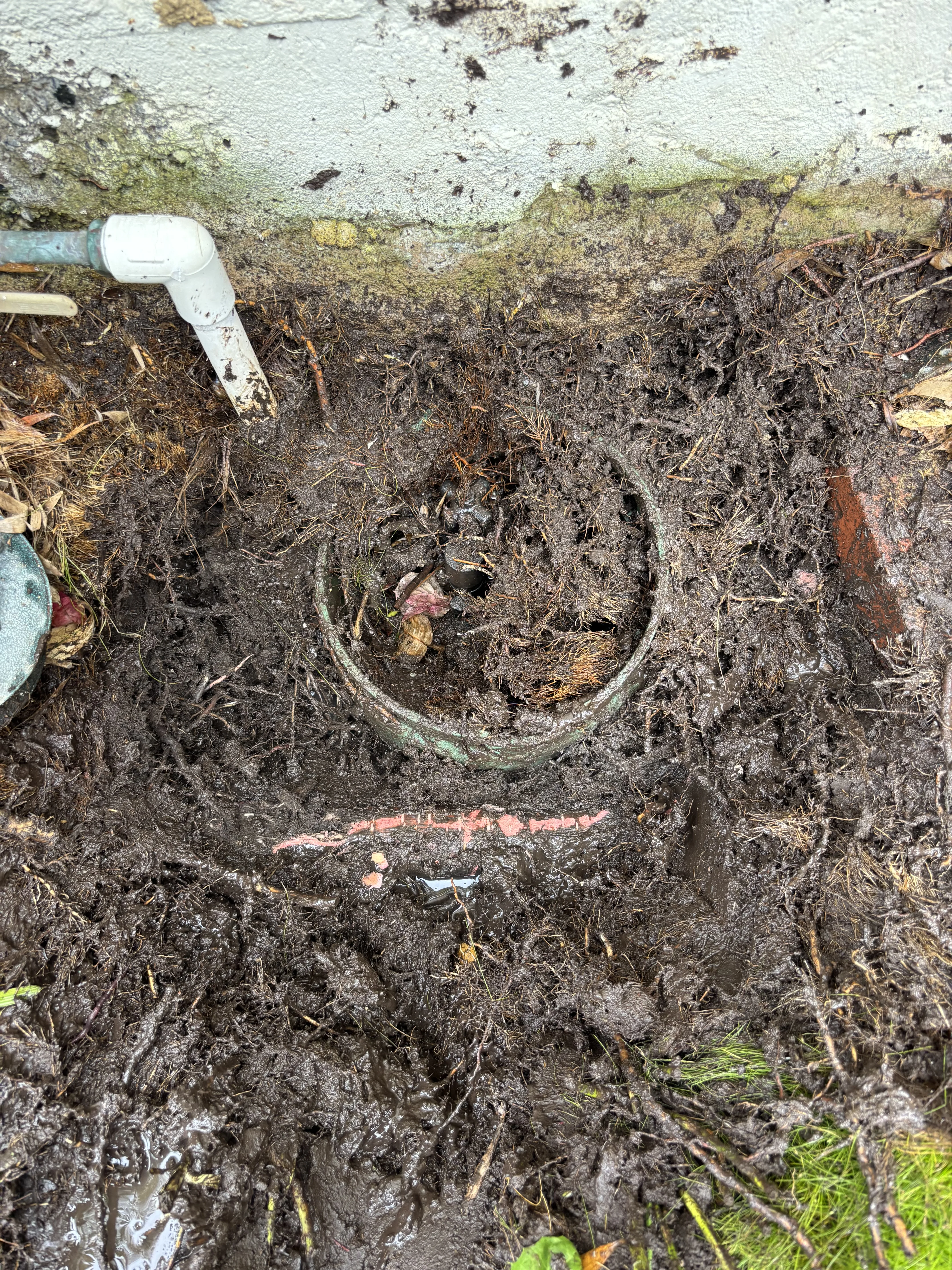 Before photo of damaged irrigation system in San Clemente, CA